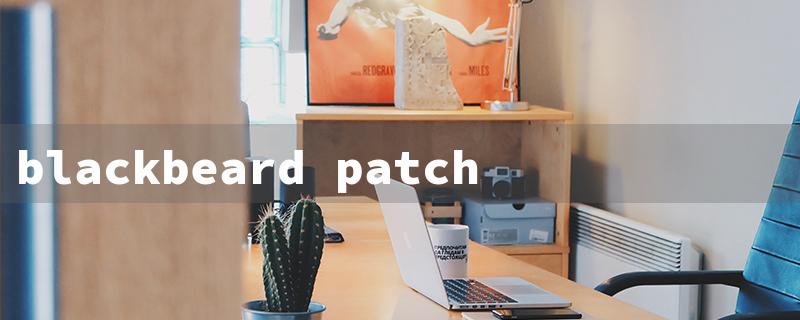 blackbeard patch meaning(Blackbeard Flag Patch) | KnowledgeVision Website